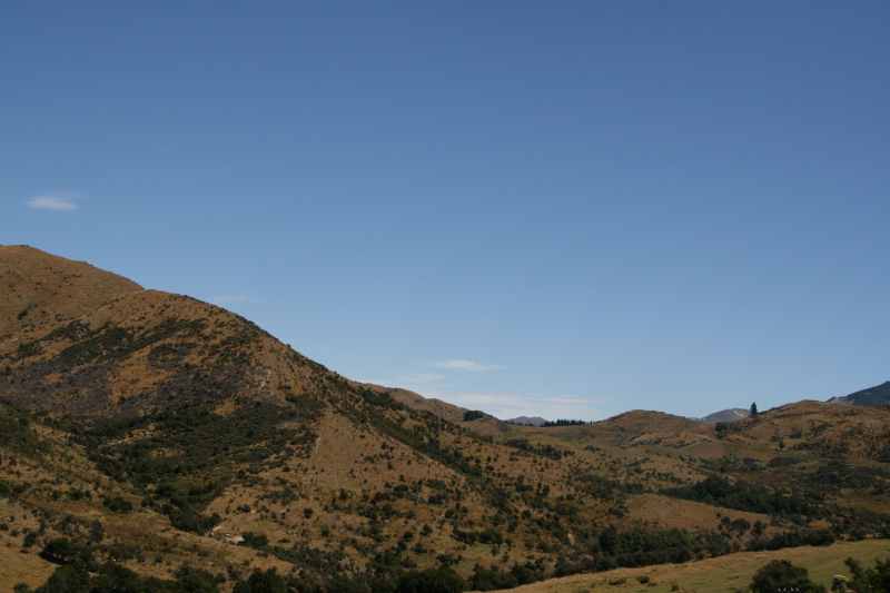 Nieuw-Zeeland 2011 - 1271